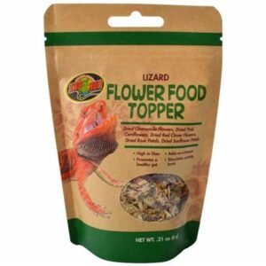 lizard food