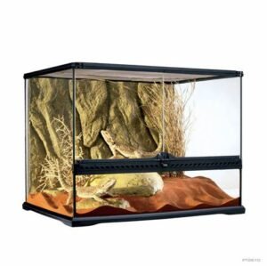 bearded dragon terrarium size