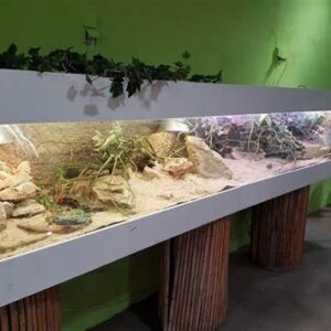 reptile aquarium accessories