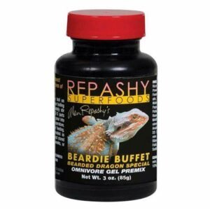 repashy beardie buffet