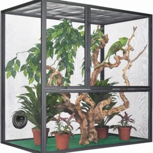 reptile cages bearded dragon​